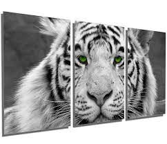 Metal Prints White Tiger Wall Art