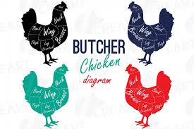 Butcher Chicken Diagram Clip Art Digital Chicken Chart Chi