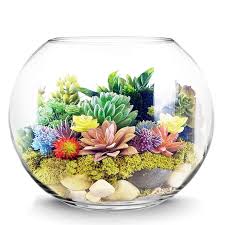 Fish Bowl Terrarium Vase Glass Vases