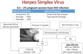 herpes in pregnancy journal of fetal