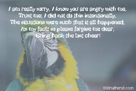 i am really sorry i know sorry message