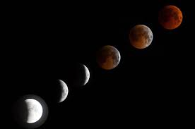 Image result for trump blood moon
