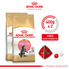 promo 2x royal canin kitten maine