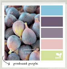 Color Palettes From Design Seeds