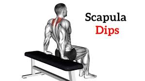 sca dip how to do muscles worked
