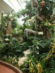 Orchid Show At Missouri Botanical Garden