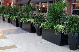6 amazing rectangle planter ideas to
