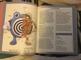 Anything i can adapt into my own life. This Book I Have That Shows The Detailed Anatomy Of The First Gen Pokemon Interestingasfuck