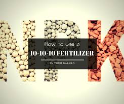 10 10 10 fertilizer in your garden and lawn