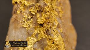natural gold treres showcased in