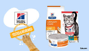 unbiased hill s cat food review in 2024