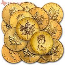 1 oz canadian maple leaf gold coin