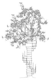 Designers thor te kulve and robert mcintyre have devised a clever system that allows anyone to build a spiral staircase up the trunk of a tree without actually hurting it and without using tools. Canopystair Thorterkulve