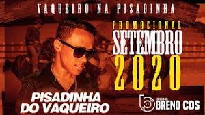 Gasolina is the smash hit from daddy yankee's third studio album barrio fino. Pisadinha Do Vaqueiro Setembro 2020 Cd Completo Youtube