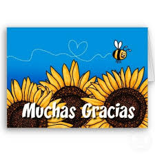 Maybe you would like to learn more about one of these? Muchas Gracias Spanish Thank You Card Zazzle Com Spanish Thank You Thank You Cards Cards