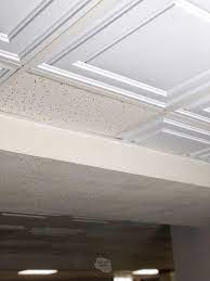 modern bat drop ceiling tile idea