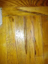 can you help identify this wood damage