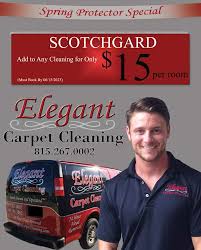 elegant carpet cleaning special