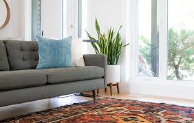 how to clean carpets without a machine