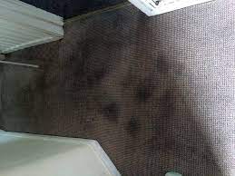 ultimate guide to cleaning carpet stains