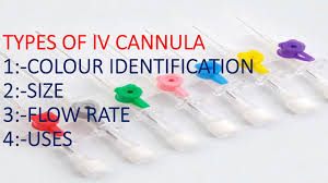 Iv Cannula Colour And Sizes I V Cannula Diagram Based Nursing Questions