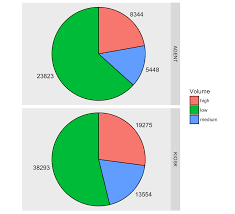 Ggplot Facet Piechart Placing Text In The Middle Of Pie