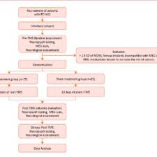 Flow Chart Of The Trial Pd Parkinsons Disease Mci Mild