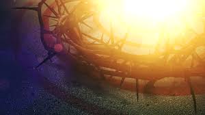 Image result for crown of thorns sunlight