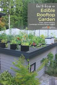 Grow Up Build An Edible Rooftop Garden