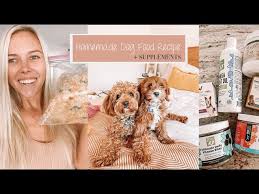 homemade dog food recipe supplements