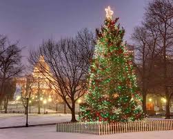 festive things to do in boston at christmas
