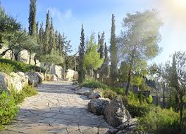 mount of olives garden of gethsemane