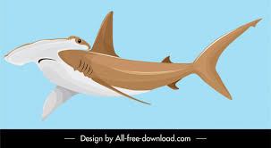 bonnethead shark icon colored cartoon