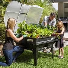 Raised Bed Protection Covers Harrod