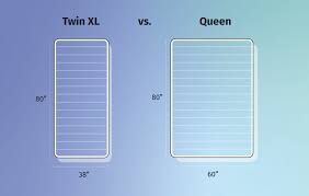 Twin Xl Vs Queen Beds What Should