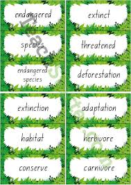 Endangered Animals Word Wall Vocabulary Rainforest