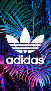 cool adidas hd wallpapers pxfuel