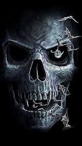 3d skull hd wallpapers pxfuel