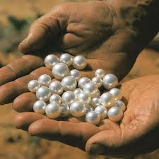 the history of pearls one of nature s