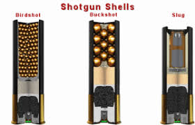 Shotgun Ballistics Aegis Academy