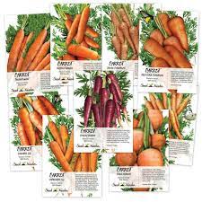 Different Types Of Carrots gambar png
