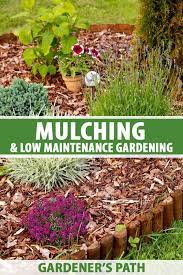 Mulch For Low Maintenance Gardening