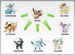 Eevee Evolution Chart Pokemon Firered Eevee Evolutions