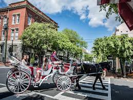 olde towne carriage tours of