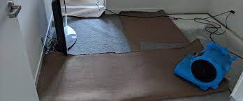 How To Use A Carpet Drying Fan | The Professional Guide