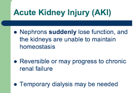 cal nutrition therapy for renal