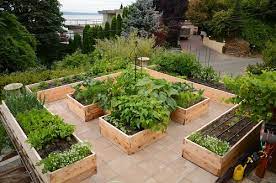 20 Beautiful Terrace Garden Ideas