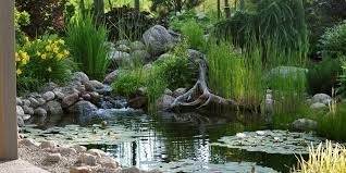 Water Features Inspired By Natural
