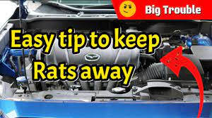 mice rats out of your engine bay