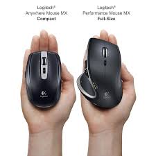 Mouse Size Comparisons